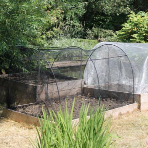 Sowing Vegetables In April