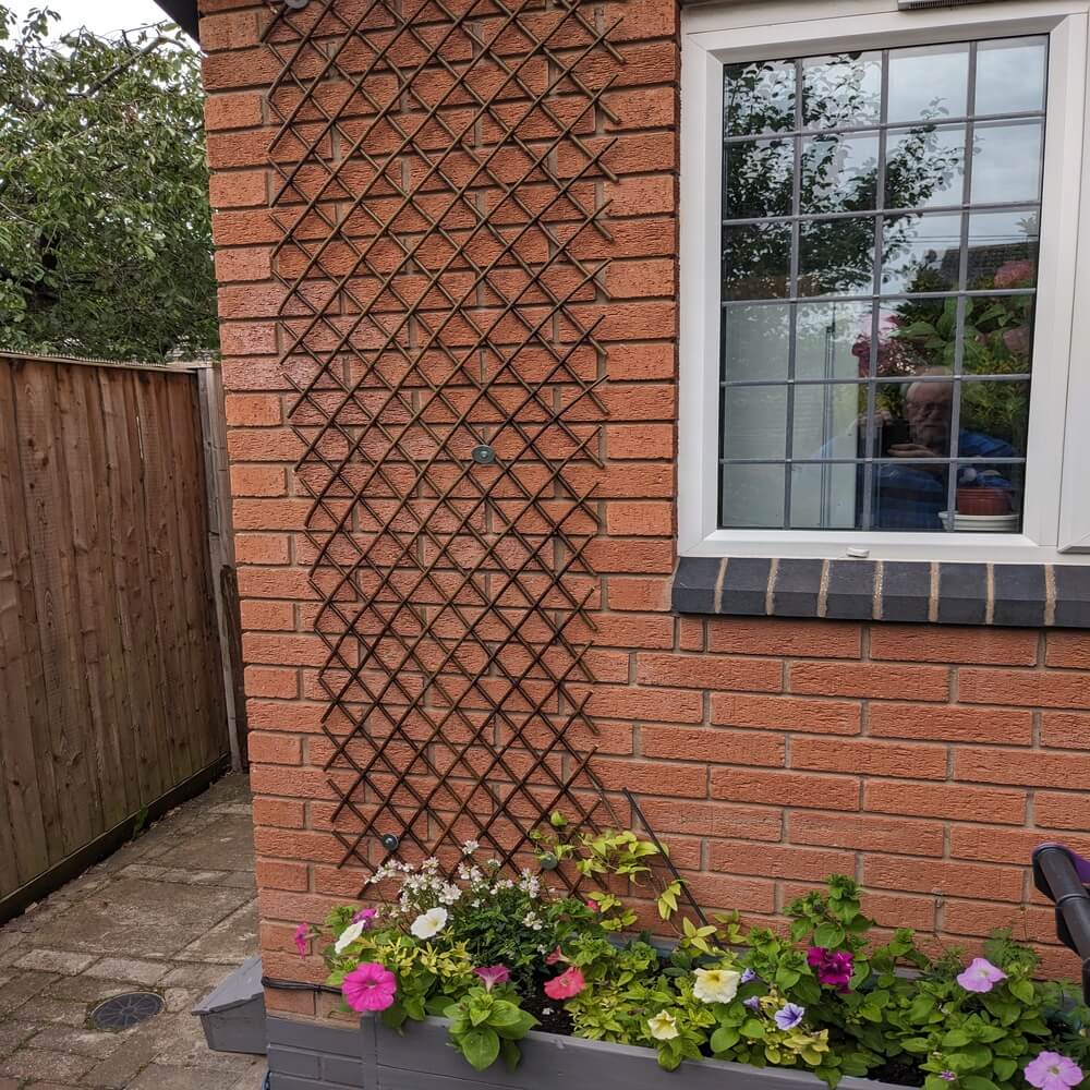 Cucumber Trellis: How to Grow Cucumbers Vertically