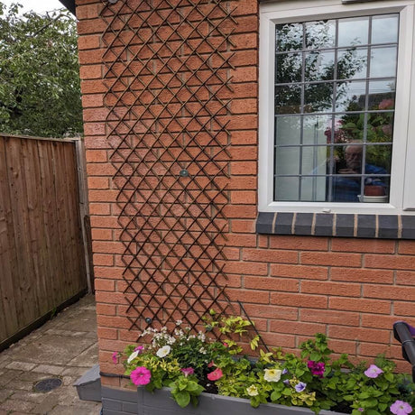 Cucumber Trellis: How to Grow Cucumbers Vertically