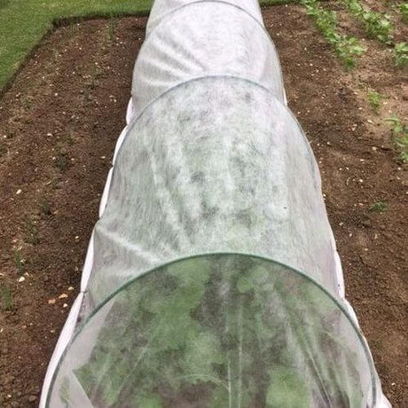 Garden Tunnel on soil