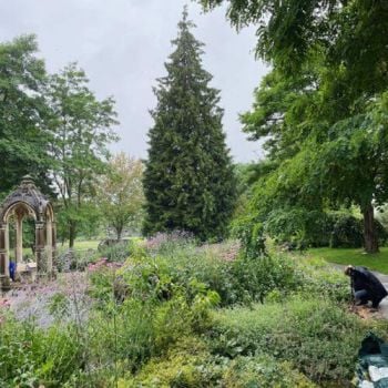 Garden and trees in park
