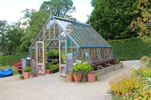 5 Plants, Vegetables, And Herbs You Can Grow In Your Greenhouse This Winter