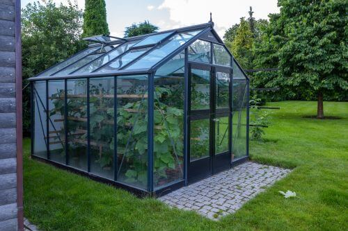 A large black edge greenhouse