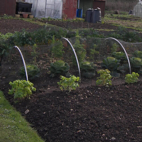 How to Use Garden Hoops for Vegetable Protection
