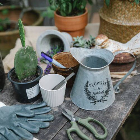 Garden accessories on a bench including scissors and jug