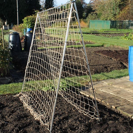 Netting over pea and bean frae