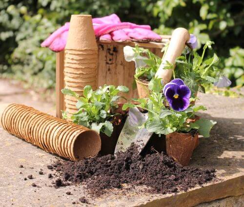 Understanding The Basics of Gardening: Planting