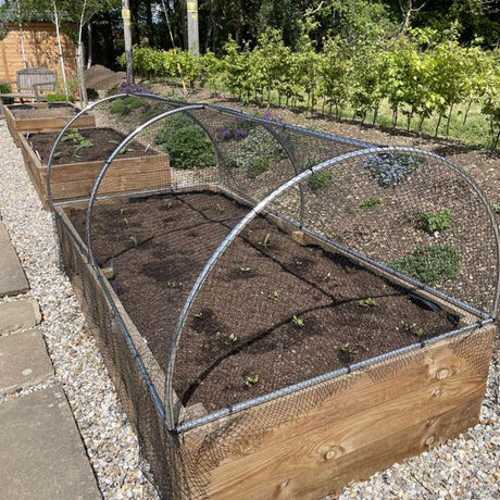 How to Protect Vegetables in Raised Beds