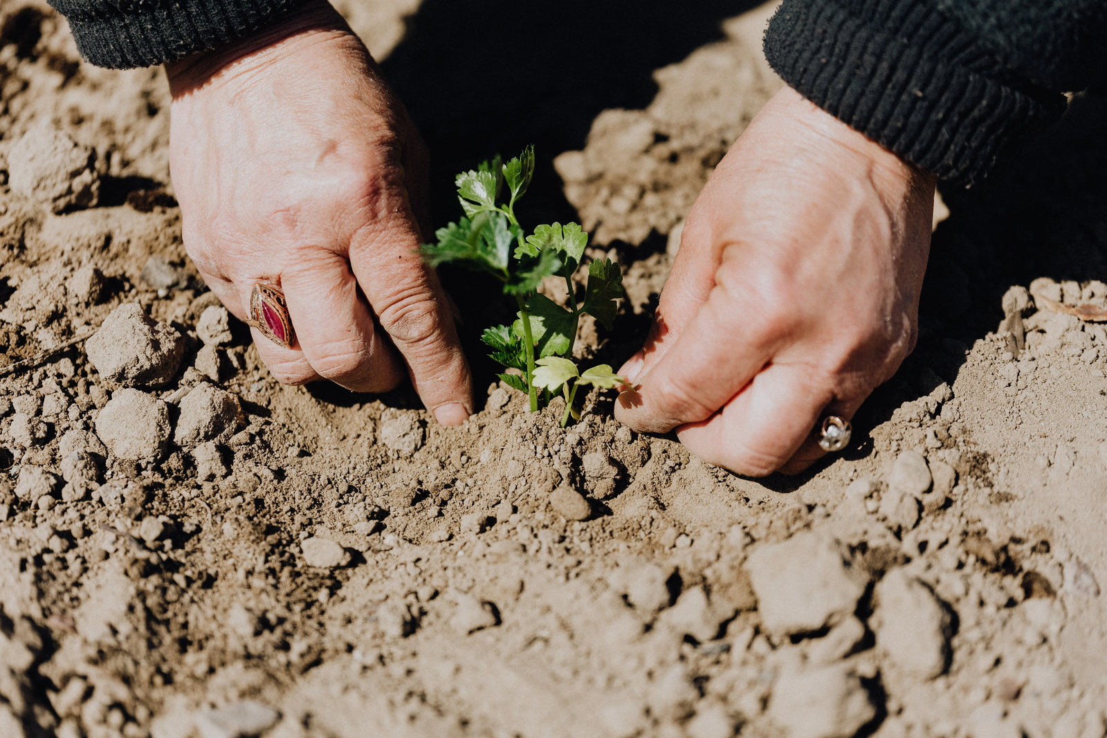 How To Keep Your Garden Safe