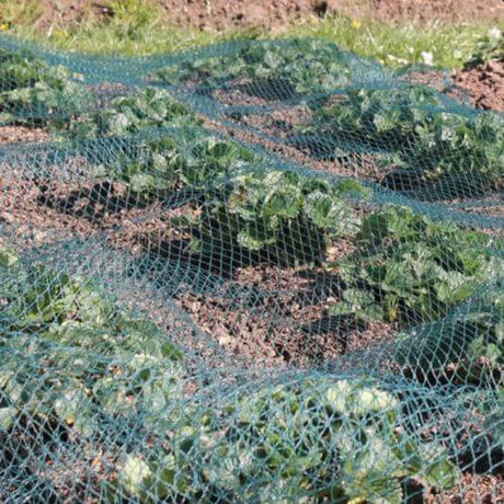 Green bird netting laid over vegetables