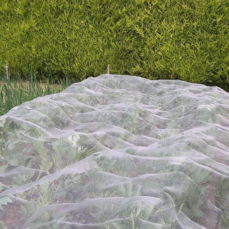 Veggiemesh insect netting over a vegetable patch