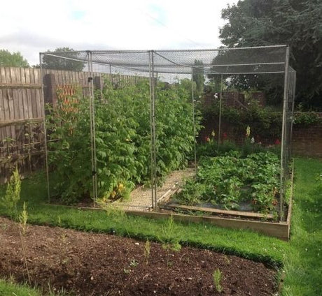 walk in garden cage with fence
