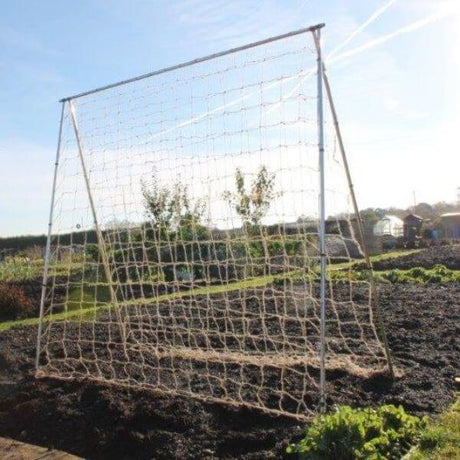 pea and bean frame with jute netting