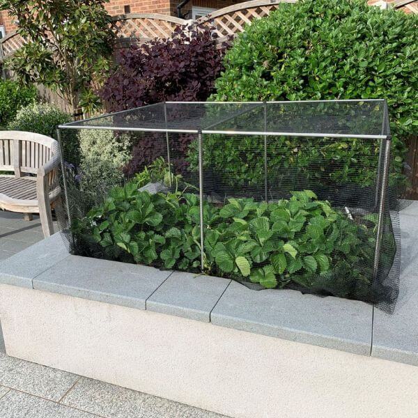 vegetable cage with netting on a raised bed