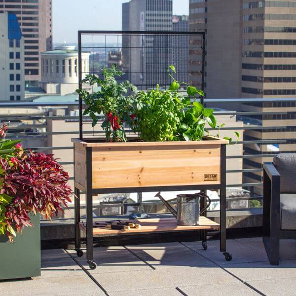 raised bed planter on a roof top