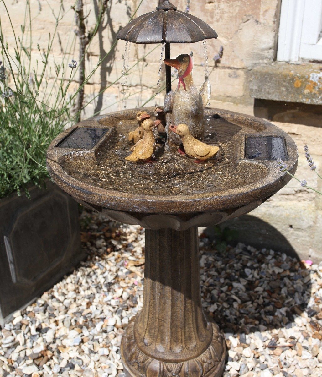 duck water feature