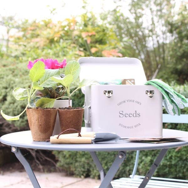 Seed Tin and flower pot on table