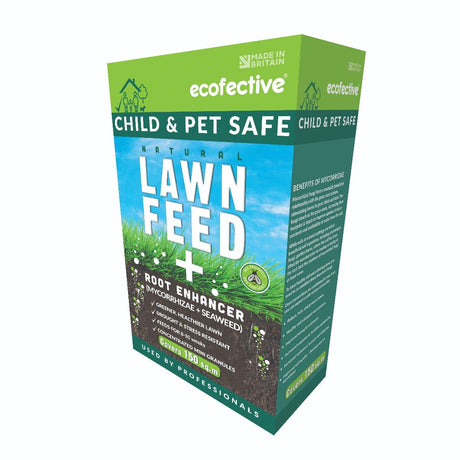 Lawn Seed