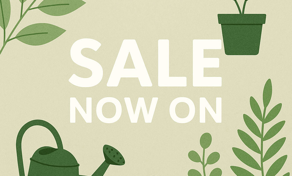 Sale Items