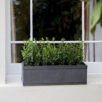 Window Pots