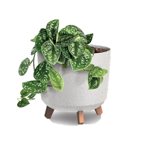 Indoor Plant Pots