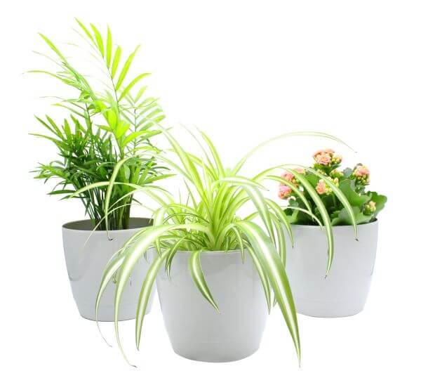 Indoor Plant Pot - Round