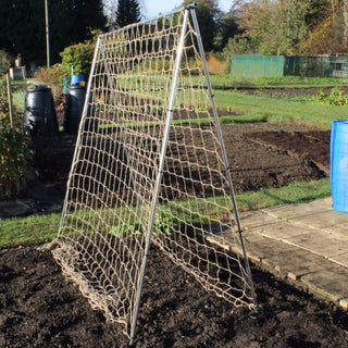 Pea Frame Pea & Bean Supports | Frames & Netting for Climbing Plants – Gardening ...