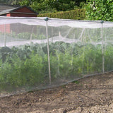 Vegetable cage over allotment insect netting over carrots and cabbages