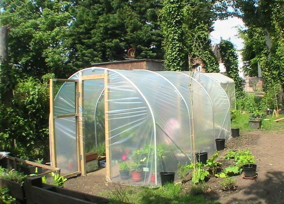 Polycarbonate greenhouse with plants in a garden setting