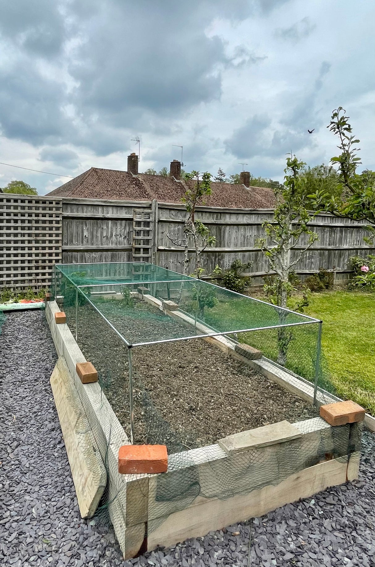 Fruit and Vegetable Cages 900mm high