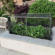 low vegetable cage with vegetables on raised bed