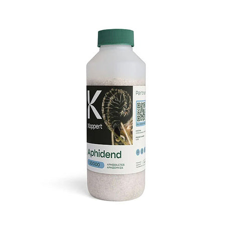 Aphid Control Aphidoletes