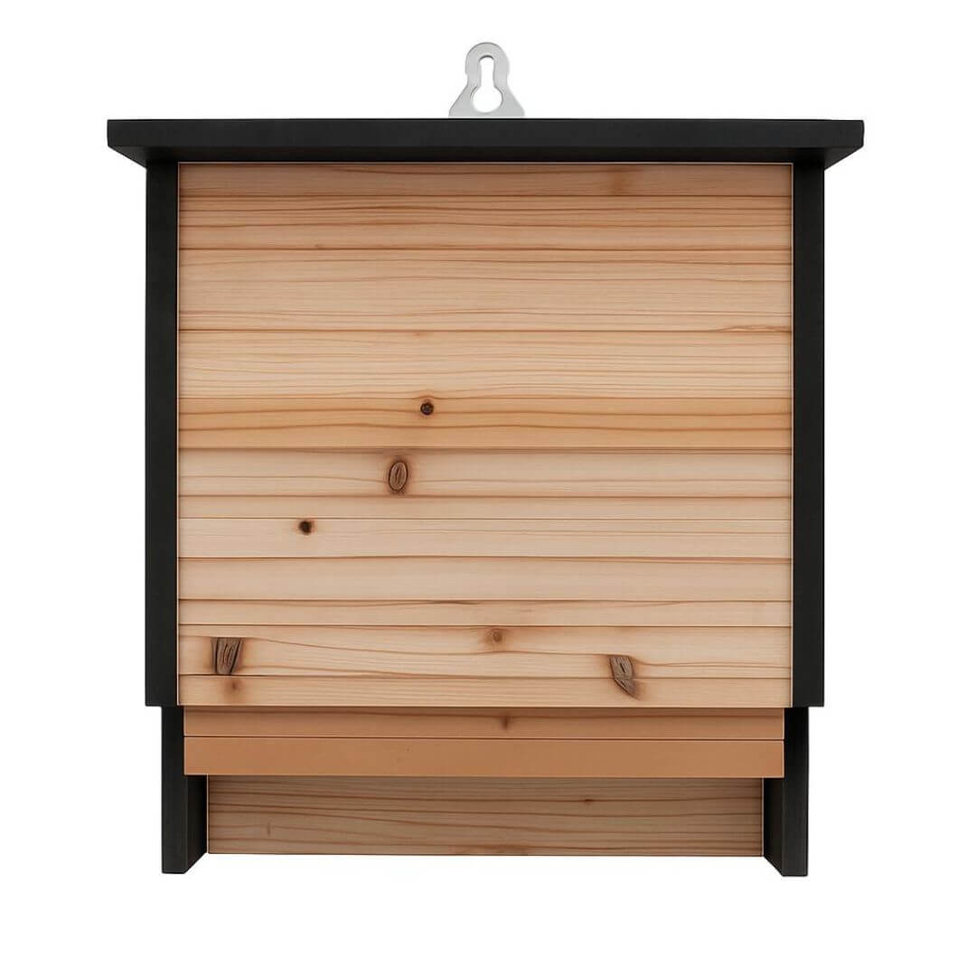 Wooden Bax house with black frame