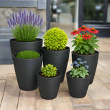6 plant pots outside a house