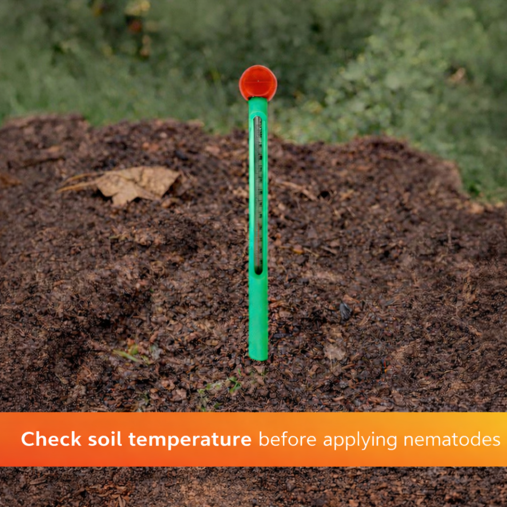 Green soil thermometer inserted into soil with text about checking soil temperature.