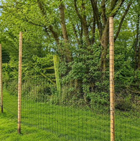 Fence with deer netting mesh and wooden posts in a natural setting with trees and grass.