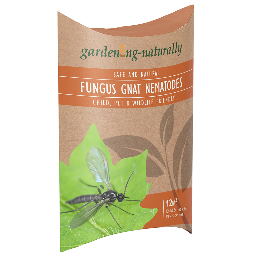nematodes for fungus gnats indoor plants Fungus Gnat Control Nematodes – 12m² – Gardening Naturally