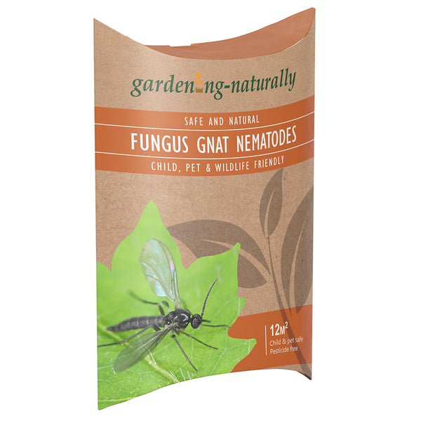 Sciarid Fly Nematodes - Organic Treatment For Fungus Gnats & Compost Flies (Covers 10 Sqm)