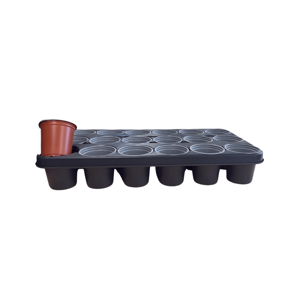 Garden Shuttle tray with small pots
