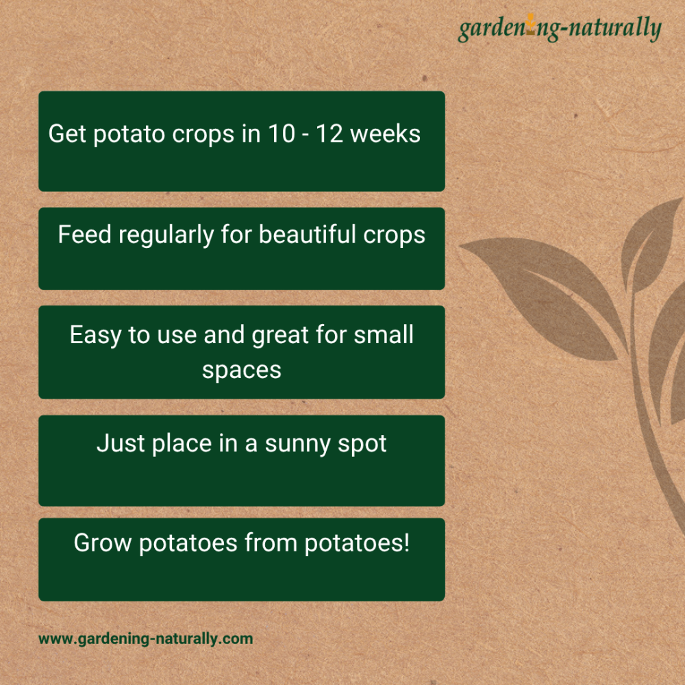 Potato Pot benefits