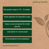 Potato Pot benefits