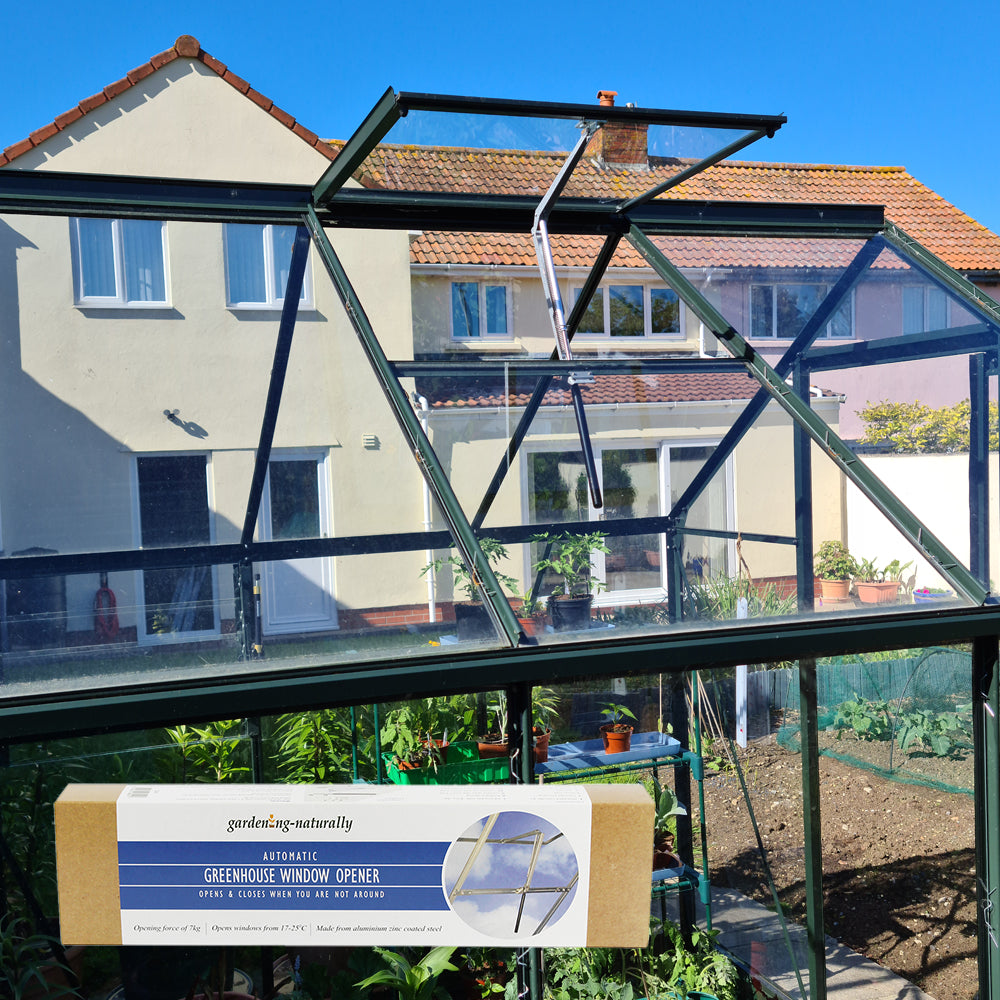 Greenhouse with automatic greenhouse window opener in front of a house