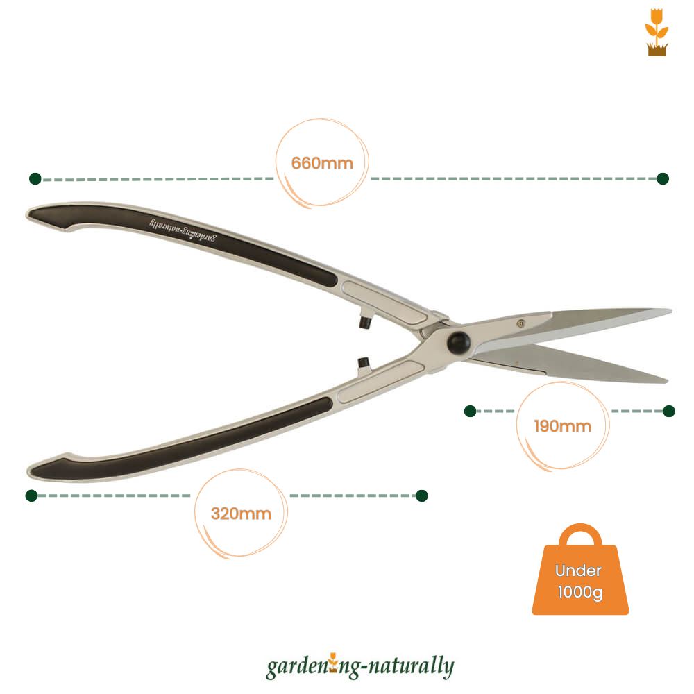 Gardening shears with measurements on a white background