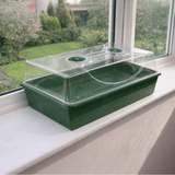 Green propagator with clear lid on a windowsill with a garden view outside.