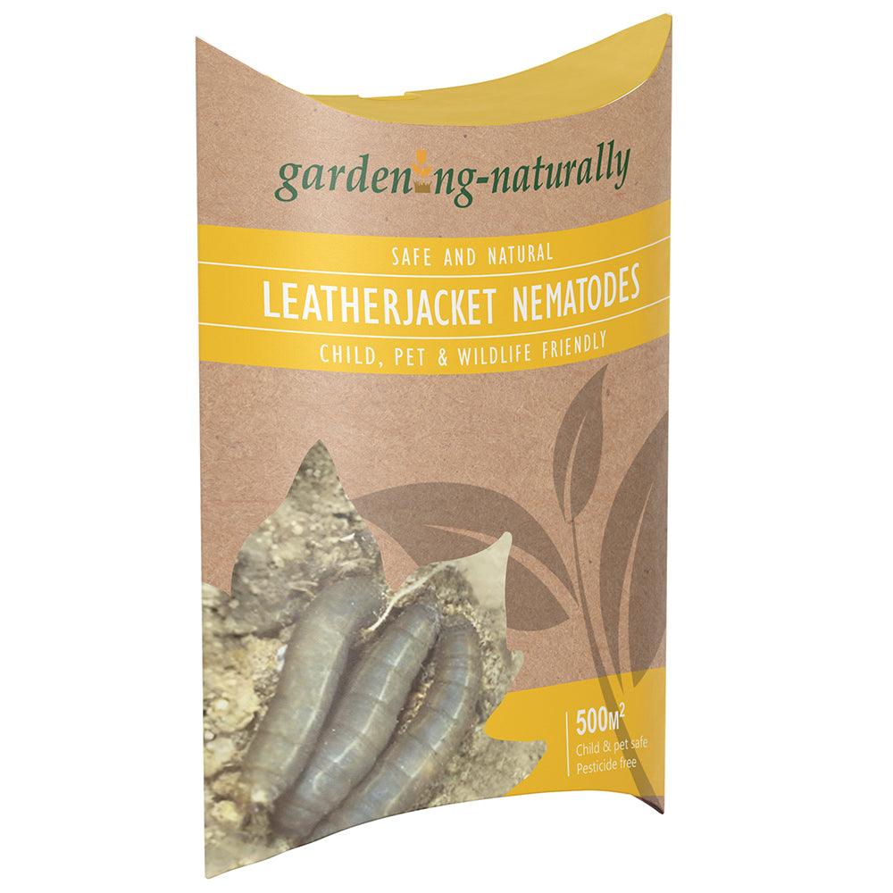 Leatherjacket Lawn Treatment Nematodes 500sq.m