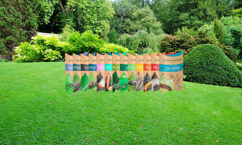 nematode range sat in a park