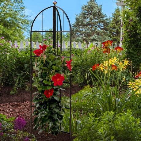 obelisk with climbing flowers in garden