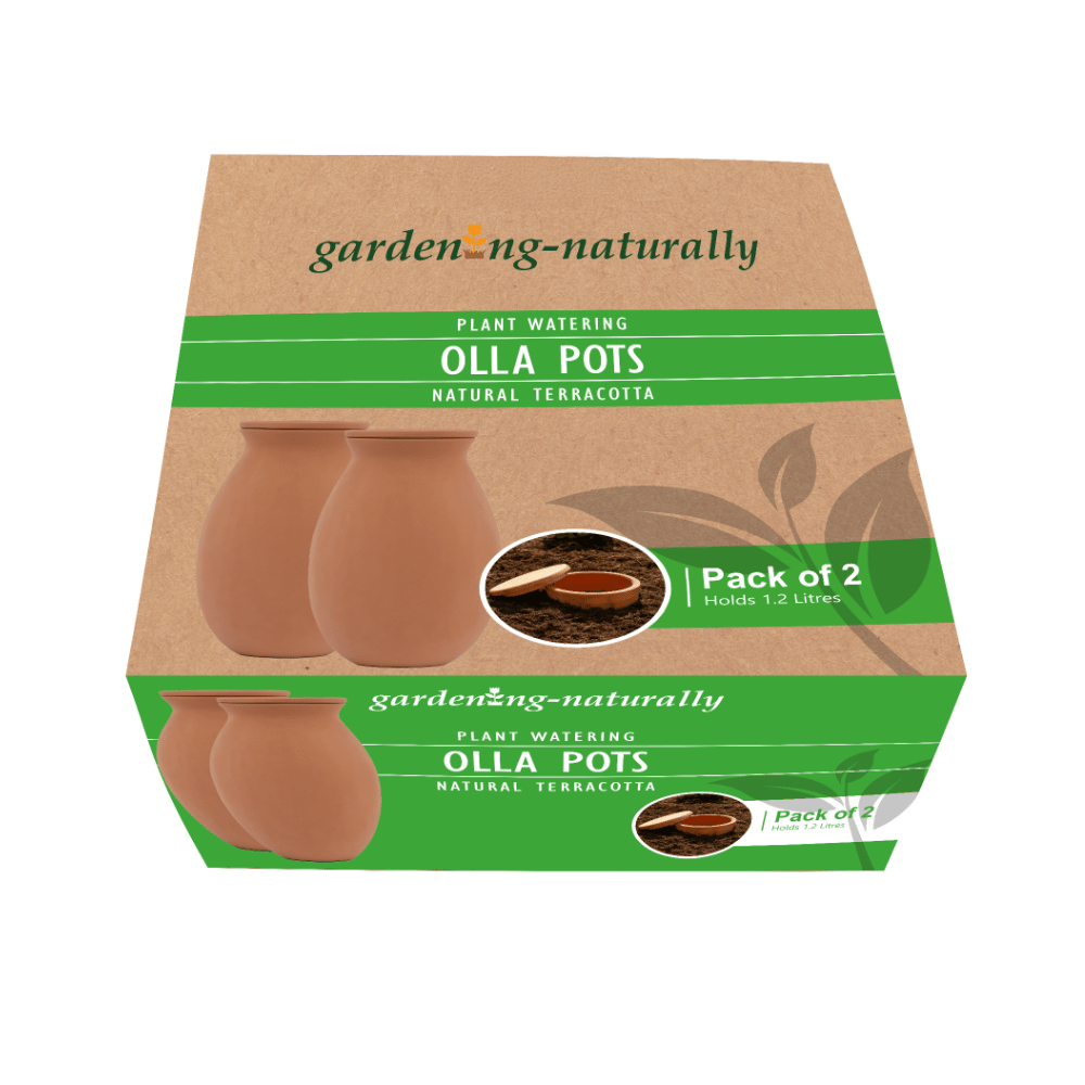 Olla Watering Pot Clay Irrigation System (Set of 2)