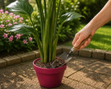 Horticultural Grade Premium Perlite 3-6mm