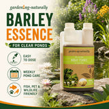Barley Straw Extract Natural Pond Treatment
